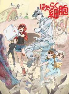 Hataraku Saibou Sub Indo : Episode 1 – 13 (End)